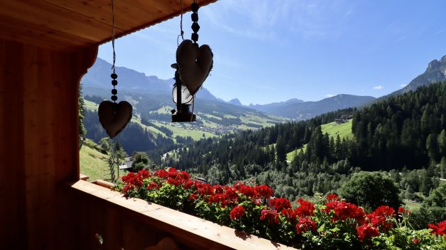 Image: Apartments in Alta Badia
