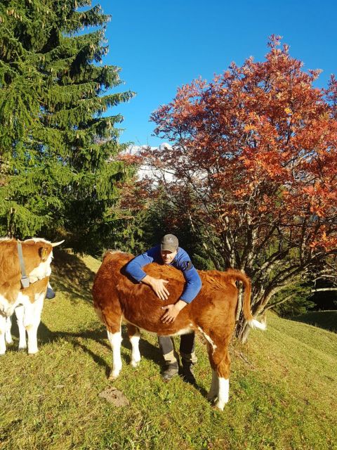 Image: Farm Chalet Jusciara