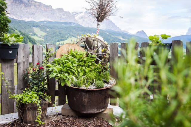 Image: Farm Chalet Jusciara